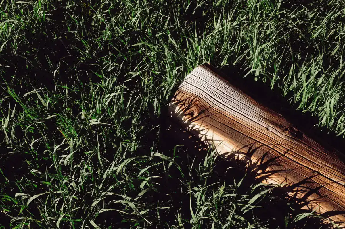 Kubb set on a lawn, ready to play
