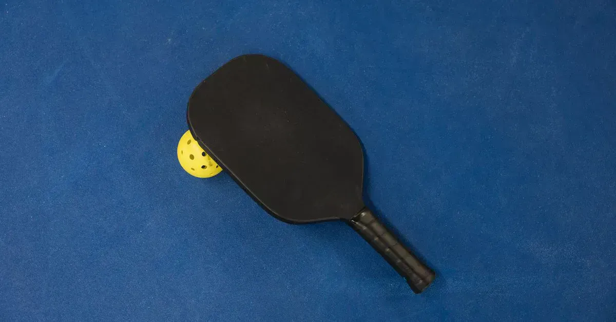 Pickleball set on a lawn, ready to play